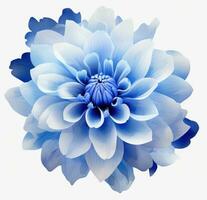 ai genererad blå blomma png transparent blå krysantemum växt ClipArt foto