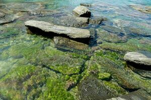 stenar och alger i de vatten foto