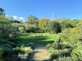 en se av en parkera i London som visar de höst färger foto