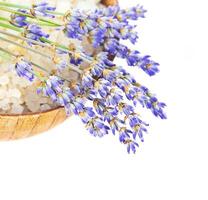 skål med salt och lavendel- blommor isolerat på vit bakgrund foto