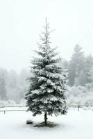 tall träd eller dekorerad jul träd täckt förbi snö på skön vinter. jul tema utomhus förbi ai genererad foto