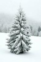 tall träd eller dekorerad jul träd täckt förbi snö på skön vinter. jul tema utomhus förbi ai genererad foto