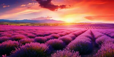ai genererad underbar landskap Fantastisk sommar landskap av blomning lavendel- blommor foto