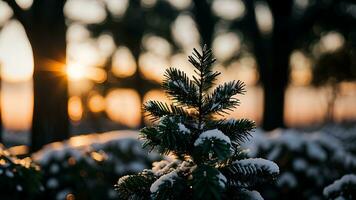 ai genererad små jul träd täckt med snö i de morgon. bokeh bakgrund foto