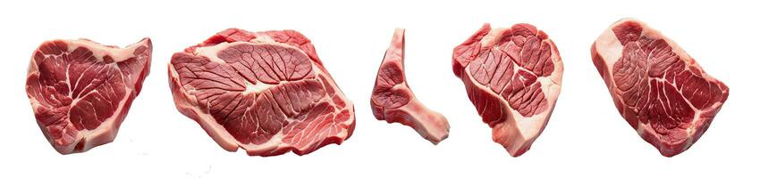 ai genererad uppsättning av annorlunda rå nötkött biffar med ett förvånande nivå av detalj foto