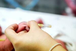 sjuksköterska händer Tryck på iv kateter och sjuk nyfödd bebis händer till förbereda använder sig av medicinsk lim plåster pinne och slå in säkert till fylla de salin lösning och medicin. foto
