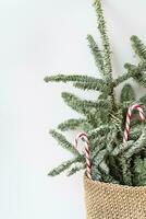 dekorerad jul träd med godis käppar. framställning för jul och ny år 2023-2024. plats för ett inskrift. foto