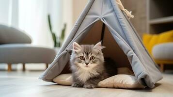 ai genererad fluffig grå kattunge inuti en modern teepee sällskapsdjur hus, ser ut nyfiket, mysigt Hem interiör foto