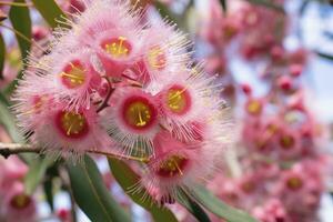 ai genererad skön gummi träd rosa blommor och knoppar. ai genererad foto