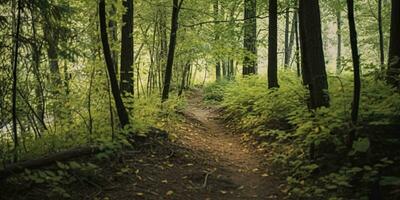 ai genererad en väg med skön skog. ai genererad foto