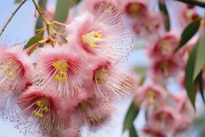 ai genererad skön gummi träd rosa blommor och knoppar. ai genererad foto