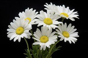 ai genererad vit daisy blommor. ai genererad foto