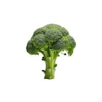 ai genererad detaljerad och näringsspäckad broccoli huvud, perfekt isolerat på vit foto