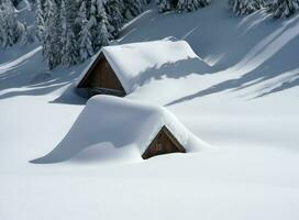 brun trä- hus täckt med snö nära tall träd foto