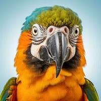 ai genererad isolerat papegoja på vit, en vibrerande visa av tropisk skönhet foto