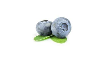färsk blåbär. organisk, saftig och näringsrik frukt isolerat på vit bakgrund. friska snacks begrepp och rik på antioxidanter näring foto