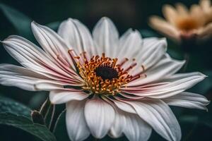 ai genererad en vit blomma med en röd Centrum foto