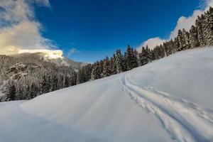 följa en uppförsbacke i snön med skidor och sälskinn foto