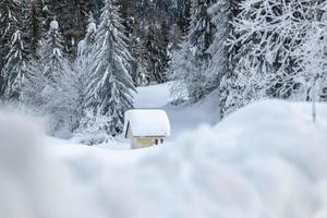 efter snöfallet. skymningens sista ljus i sappada. dolomiternas magi foto