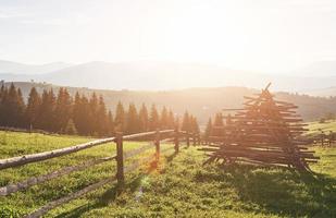 vackert sommarbergslandskap vid solsken. utsikt över ängsstängslat staket och kor som betar på det foto