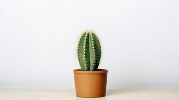 ai genererad små tunna kaktus i en terrakotta pott foto