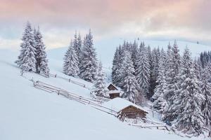 mysig träkoja högt i de snöiga bergen. stora tallar i bakgrunden. övergiven kolyba herde. molnig dag. Karpaterna, Ukraina, Europa foto