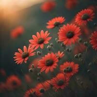 ai genererad skön röd daisy på de fält på solnedgång, retro tonad. generativ ai foto