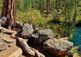 tidig höst vid floden en fallplats längs metoliusfloden vid campingen canyon creek norr om camp sherman eller foto