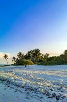 tropisk karibiska strand klar turkos vatten playa del carmen Mexiko. foto