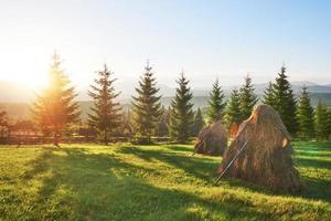 höstack vid solnedgången. äng, gräsmark, särskilt en som används för hö. Karpaterna, Ukraina foto