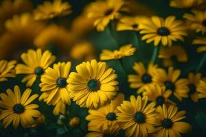 ai genererad gul blommor i en fält med en mörk bakgrund foto