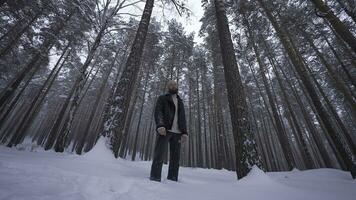 skäggig man i de vinter- skogen. attraktiv Lycklig ung man med skägg promenad i parkera. foto