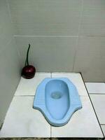 blå knäböj toalett med körsbär frukt dekoration på de sida foto