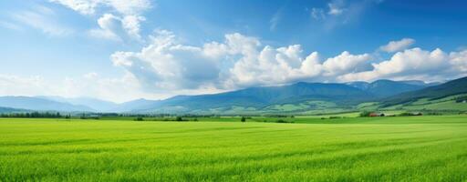 ai genererad lugn grön fält med avlägsen bergen och blå himmel foto