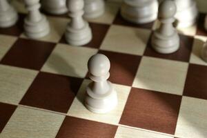 skön schack bitar på de styrelse. de schackbräde. schack tävlingar. foto