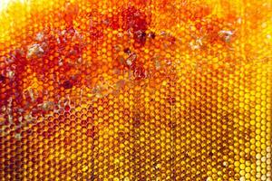 släppa av bi honung droppa från hexagonal bikakor fylld med gyllene nektar foto