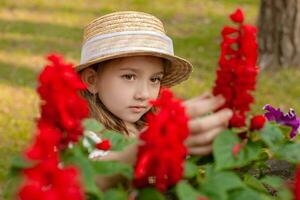 söt brunögd preteen flicka beundrande blomning röd blommor i sommar parkera foto