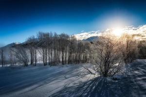 vinterlandskap under soluppgången foto