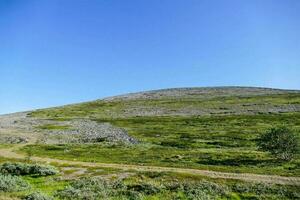 en grön kulle landskap foto