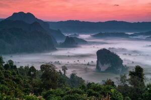 phulangka berg med myst och soluppgång i phu langka nationell parkera, payao provins, thailand foto