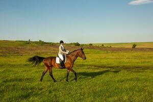 ung kvinna ridning en häst på de grön fält foto