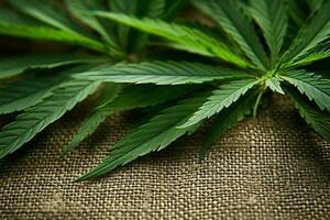 ai genererad organisk förbindelse cannabis löv på en bakgrund av hampa textil- foto