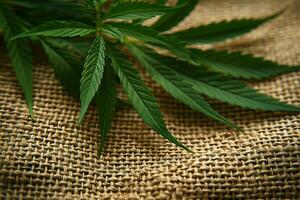 ai genererad naturlig fiber cannabis löv mot en bakgrund av hampa tyg foto