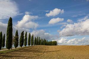 känd tuscany landskap med böjd väg och cypress, Italien, Europa. lantlig odla, cypress träd, grön fält, solljus och moln. foto