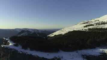 panorama- antenn se av snö på de sluttningar av de skön vinter- bergen täckt förbi skog på en solig dag. skott. flygande ovan fantastisk klippor. foto