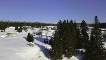 vinter- skog från en Drönare. klämma. skön snö träd Nästa till hus mot en klar himmel bakgrund. foto