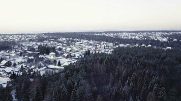 topp se av stuga by på vinter- dag i skog. klämma. vinter- landskap med stuga stad i skog område. barr- skog med stuga hus på molnig vinter- dag foto