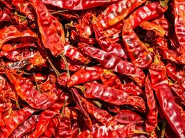röd torkades chili paprikor utsatt till solljus som en bakgrund. foto