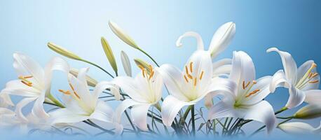 ai genererad liljor av vit blommor och lilja gräs på en ljus blå vit bakgrund, foto
