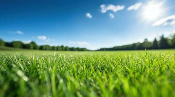 ai genererad ett tömma fält i solig väder med friska gräs foto